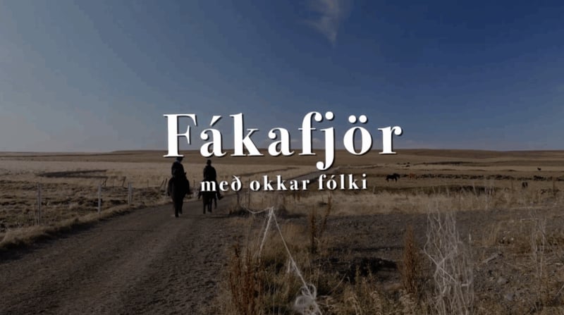 Fákafjör - Herdís Björg Jóhannsdóttir
