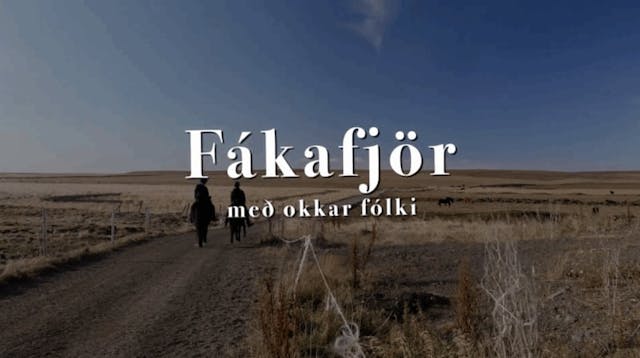 Fákafjör - Herdís Björg Jóhannsdóttir