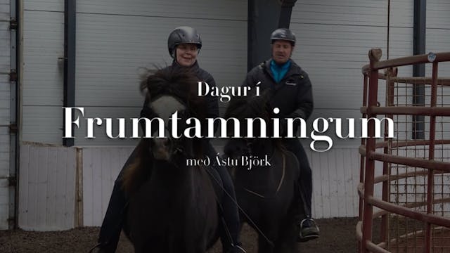 Dagur í frumtamningum