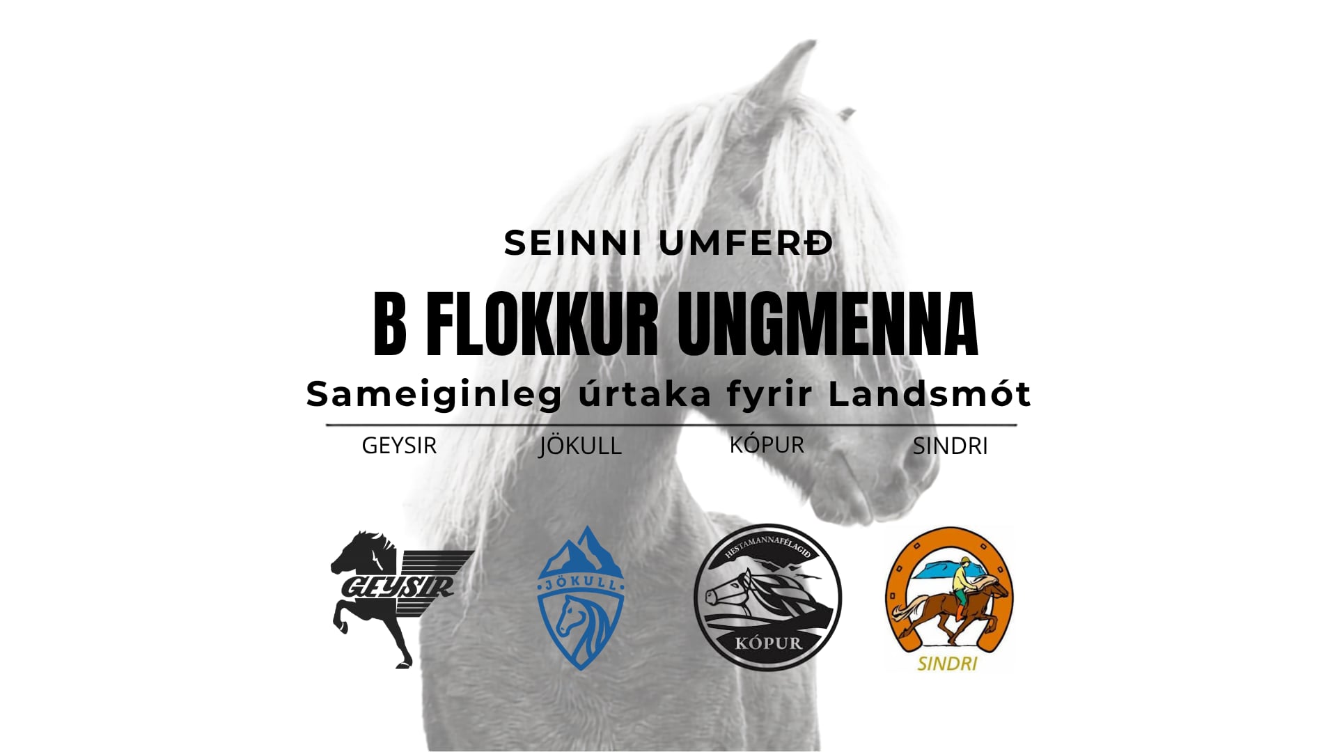 B flokkur ungmenna - Landsmótsúrtaka Geysis, Jökuls, Kóps og Sindra