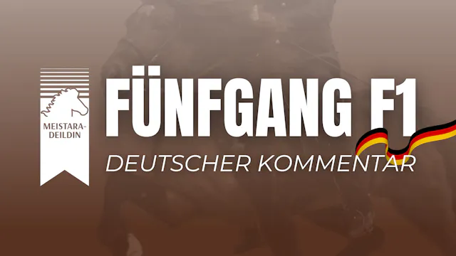 F1 Meistaradeild 2026 - Deutscher Kom...