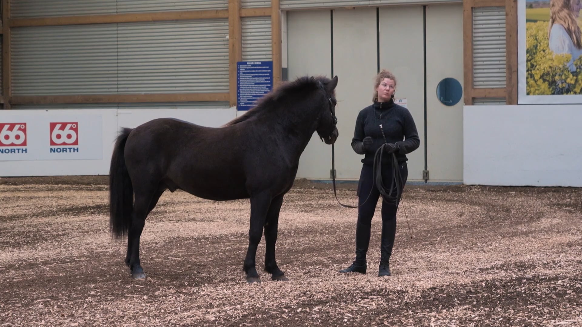 Hestadagar 2025 - Larissa Silja Werner