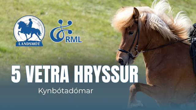 FIZO 5 year old mares - Landsmót hest...