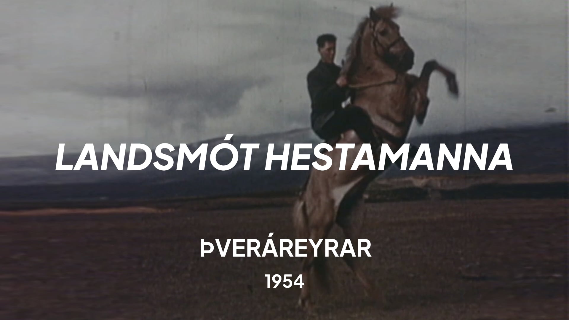 Landsmót 1954 á Þveráreyrum