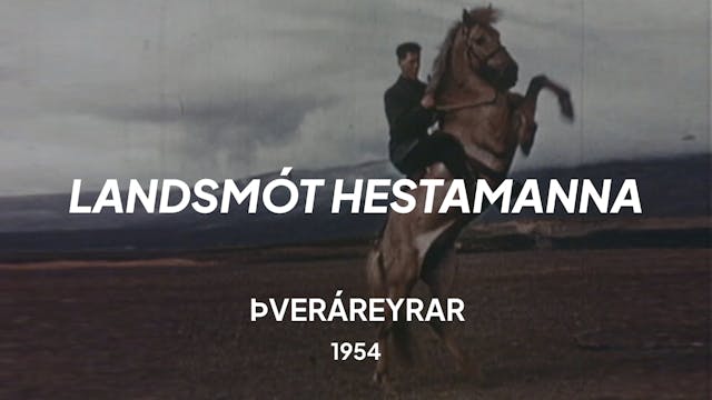 Landsmót hestamanna 1954