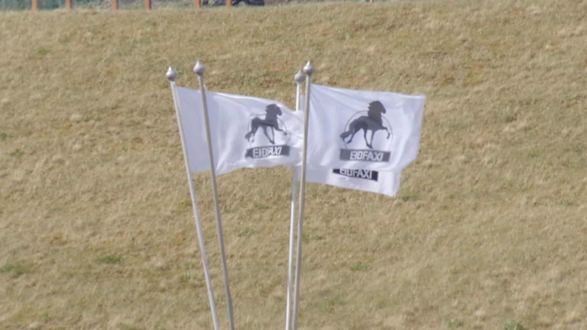 Tölt T1 - Ungmennaflokkur - Forkeppni - Íþróttamót Spretts 2025