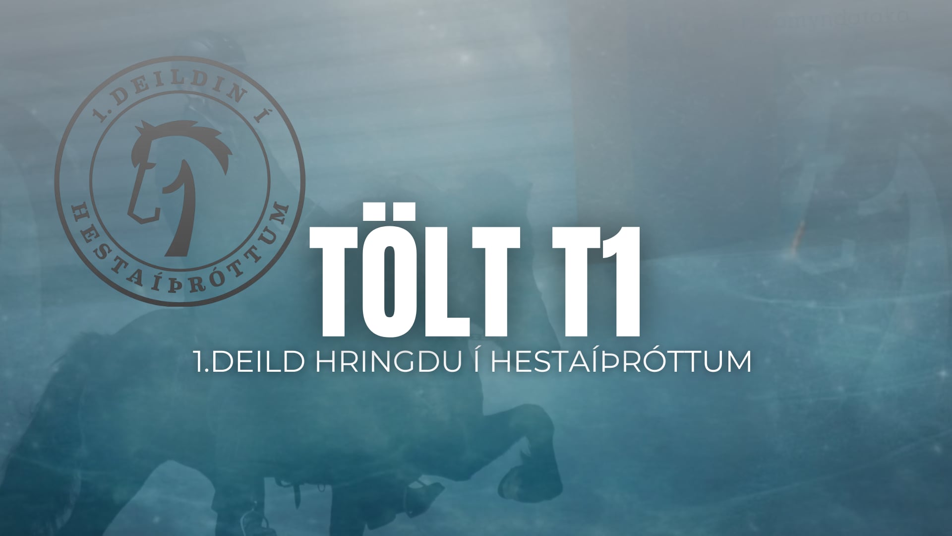 T1 Tölt - 1. deild Hringdu