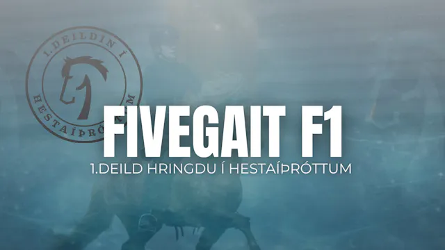 F1 Fivegait - 1. deild Hringdu