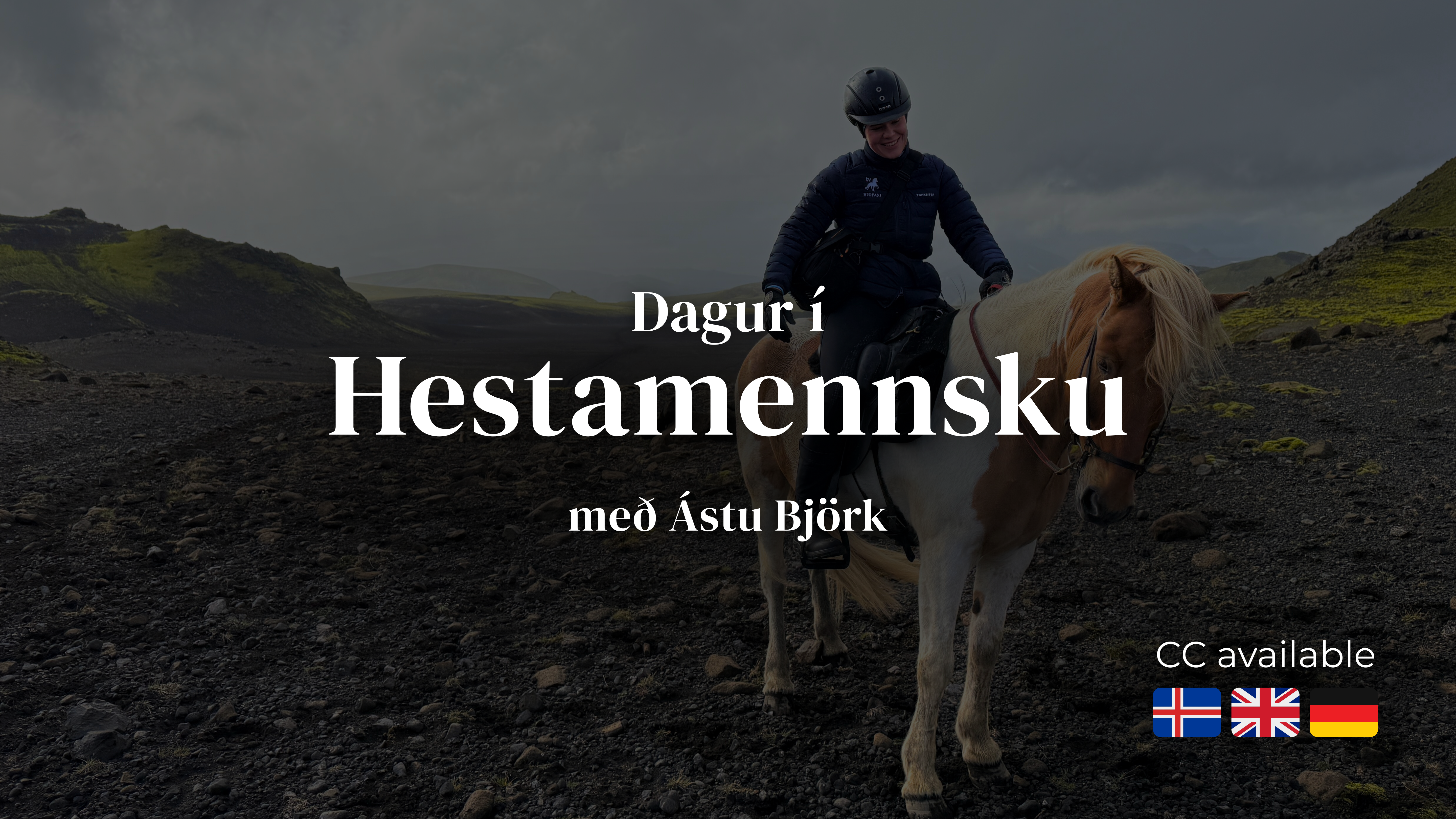 A day in horsemanship