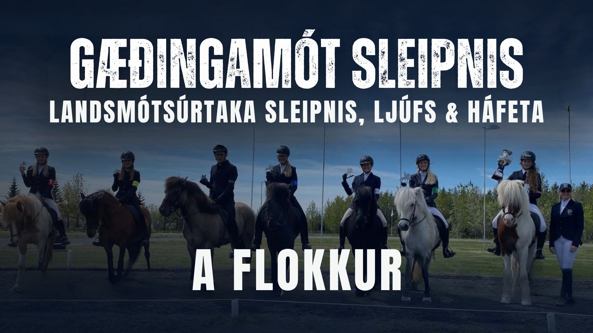 A flokkur - Gæðingamót Sleipnis og Landsmótsúrtaka Sleipnis, Ljúfs og Háfeta