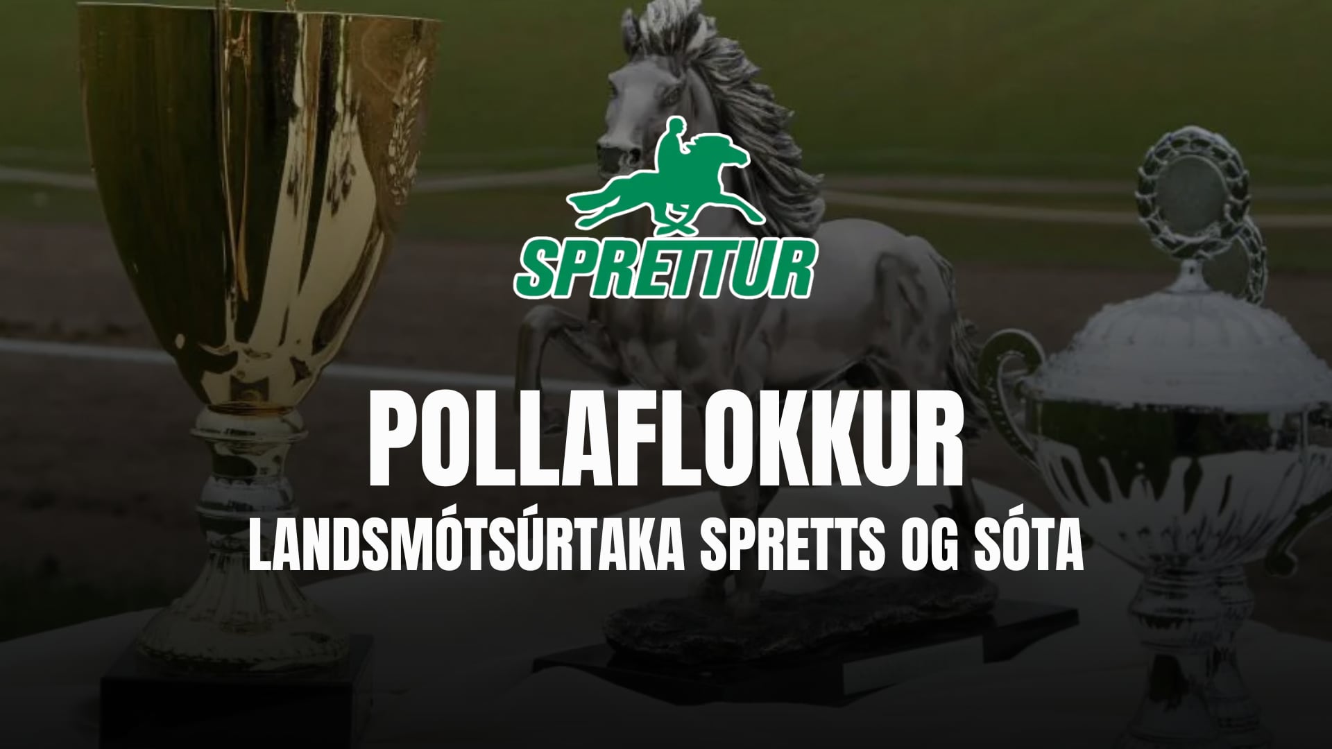 Pollaflokkur - Gæðingamót Spretts