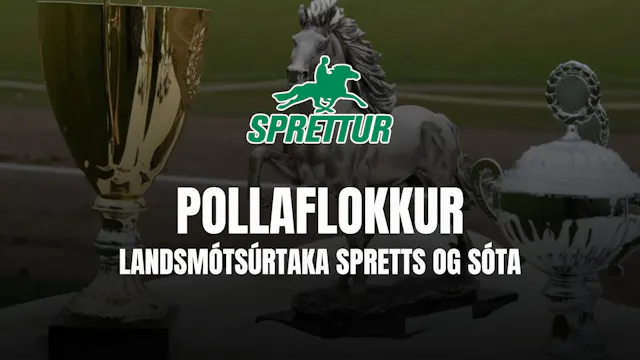 Pollaflokkur - Gæðingamót Spretts