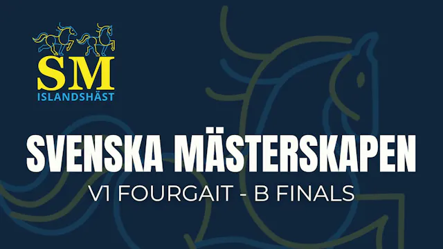V1 B finals - Swedish Championship