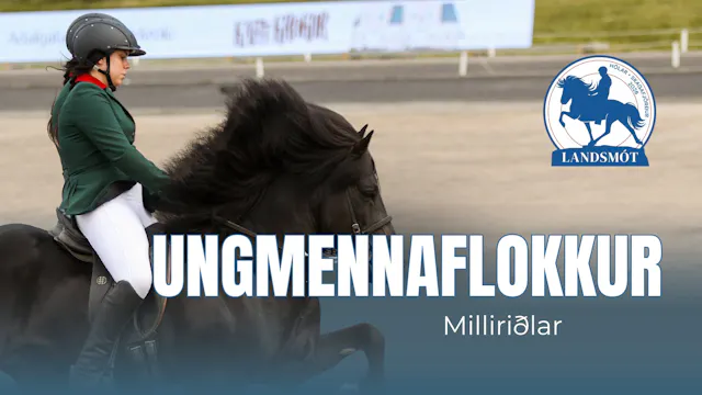 Young adults semifinals - Landsmót he...