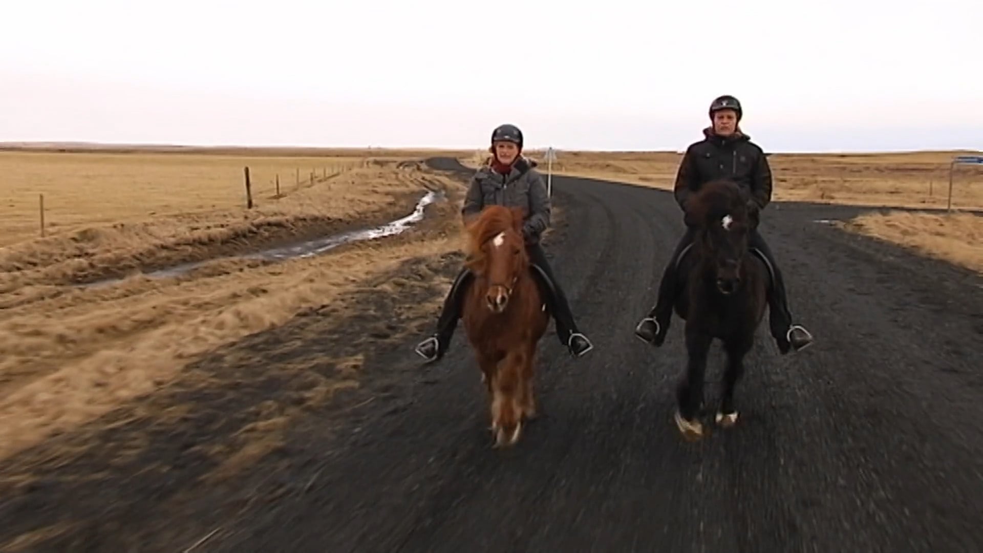 Meistaradeild 2010 - Þáttur 4