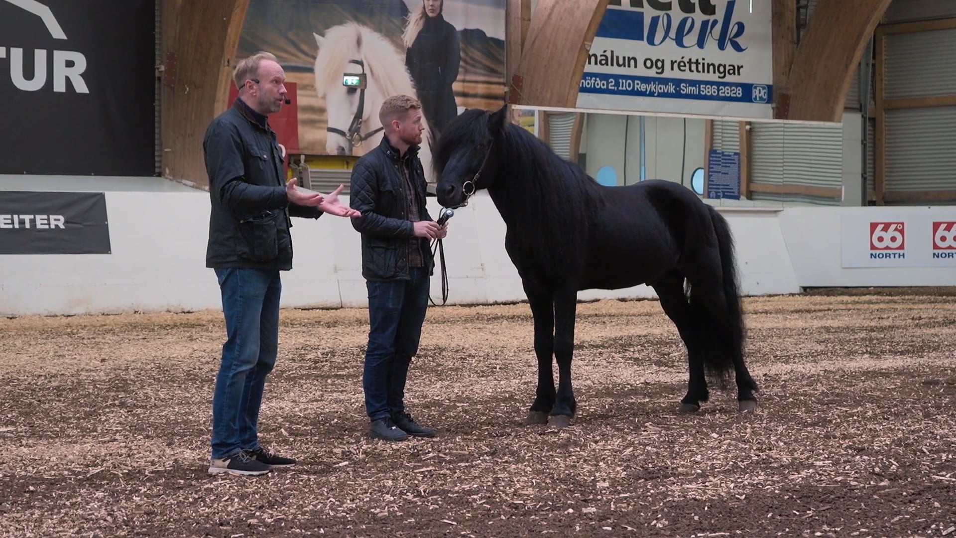 Hestadagar 2025 - Þorvaldur Kristjánsson