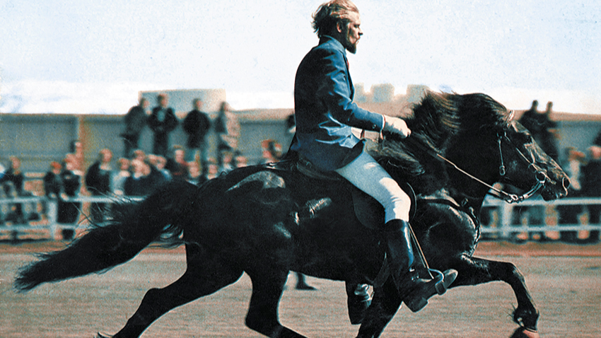 Hæst dæmdu kynbótahross ársins