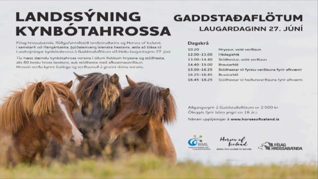 Landsýning kynbótahrossa 2020