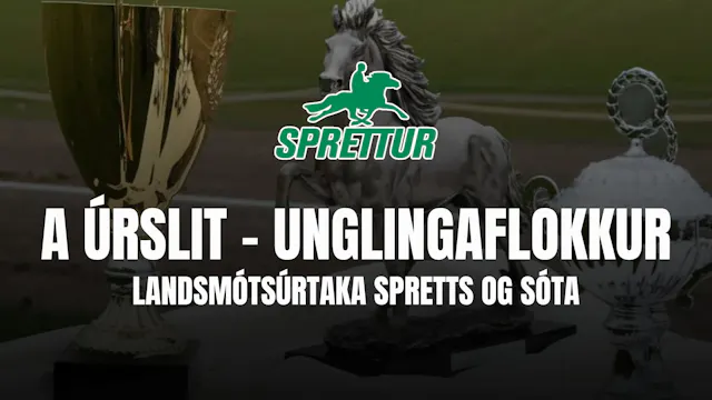 A úrslit unglingaflokkur - Gæðingamót...