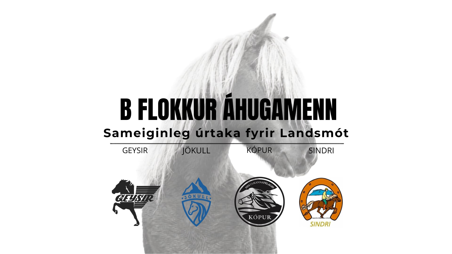 B flokkur áhugamenn - Landsmótsúrtaka Geysis, Jökuls, Kóps og Sindra