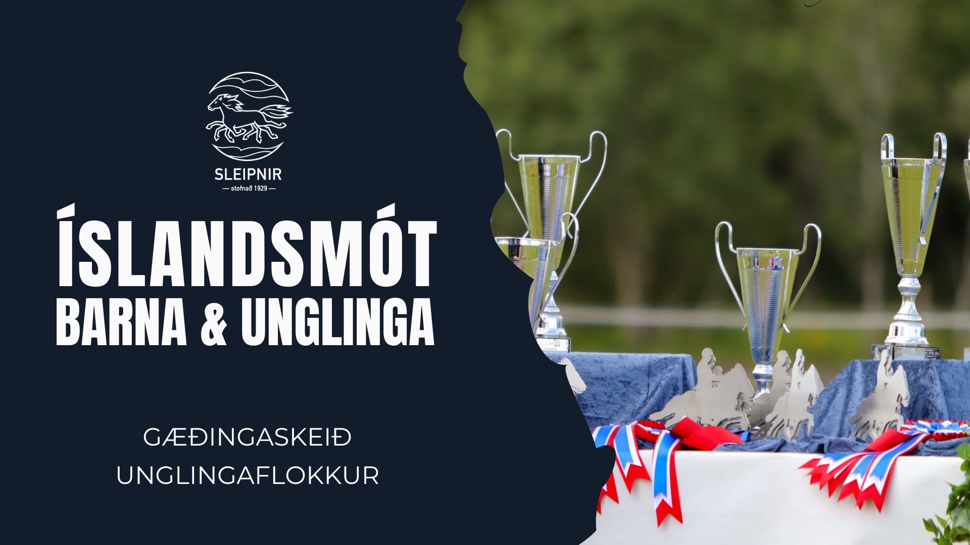 Gæðingaskeið Unglingaflokkur - Íslandsmót barna og unglinga