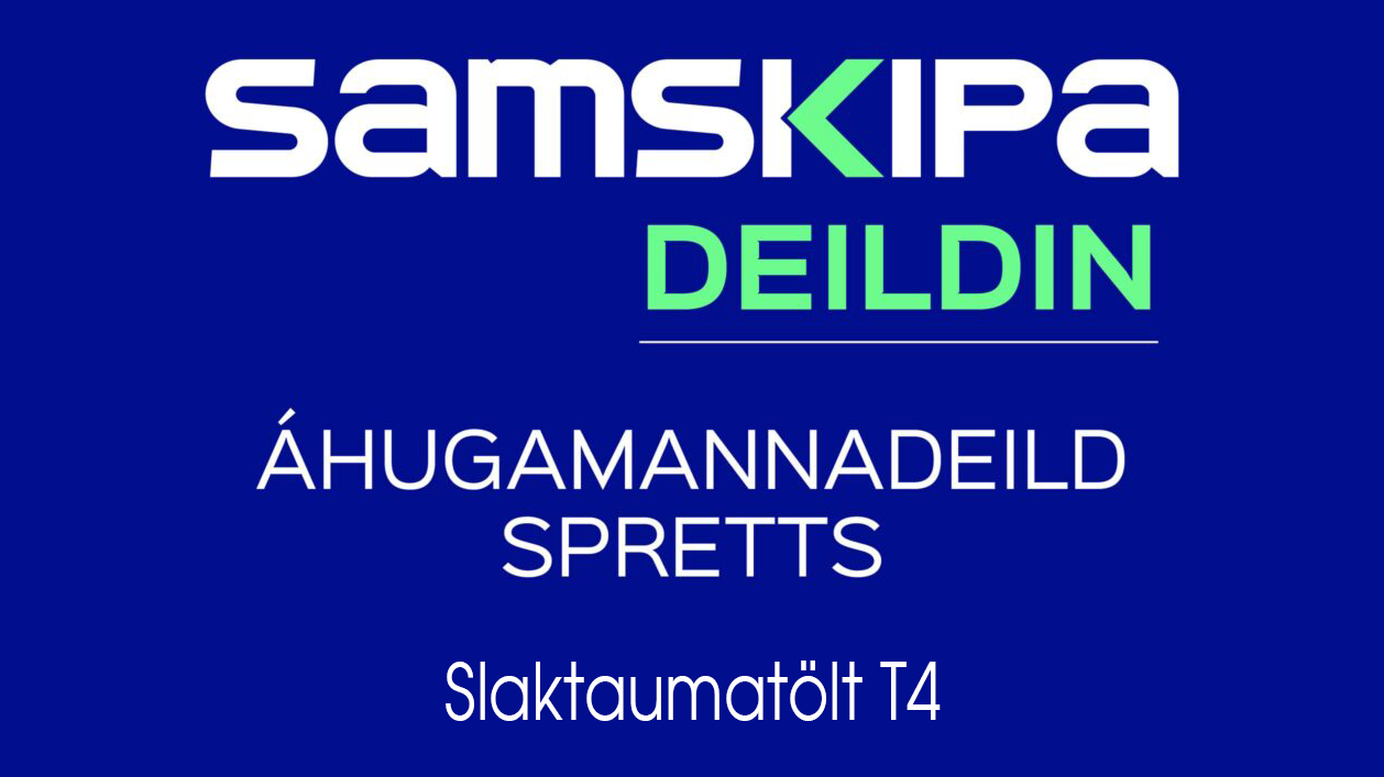 Áhugamannadeild 2025 - T4