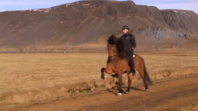 Meistaradeild 2010 - Þáttur 5