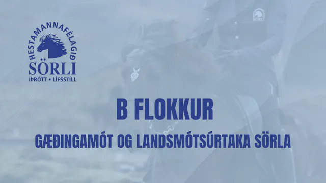 B flokkur, seinni umferð - Gæðingamót...