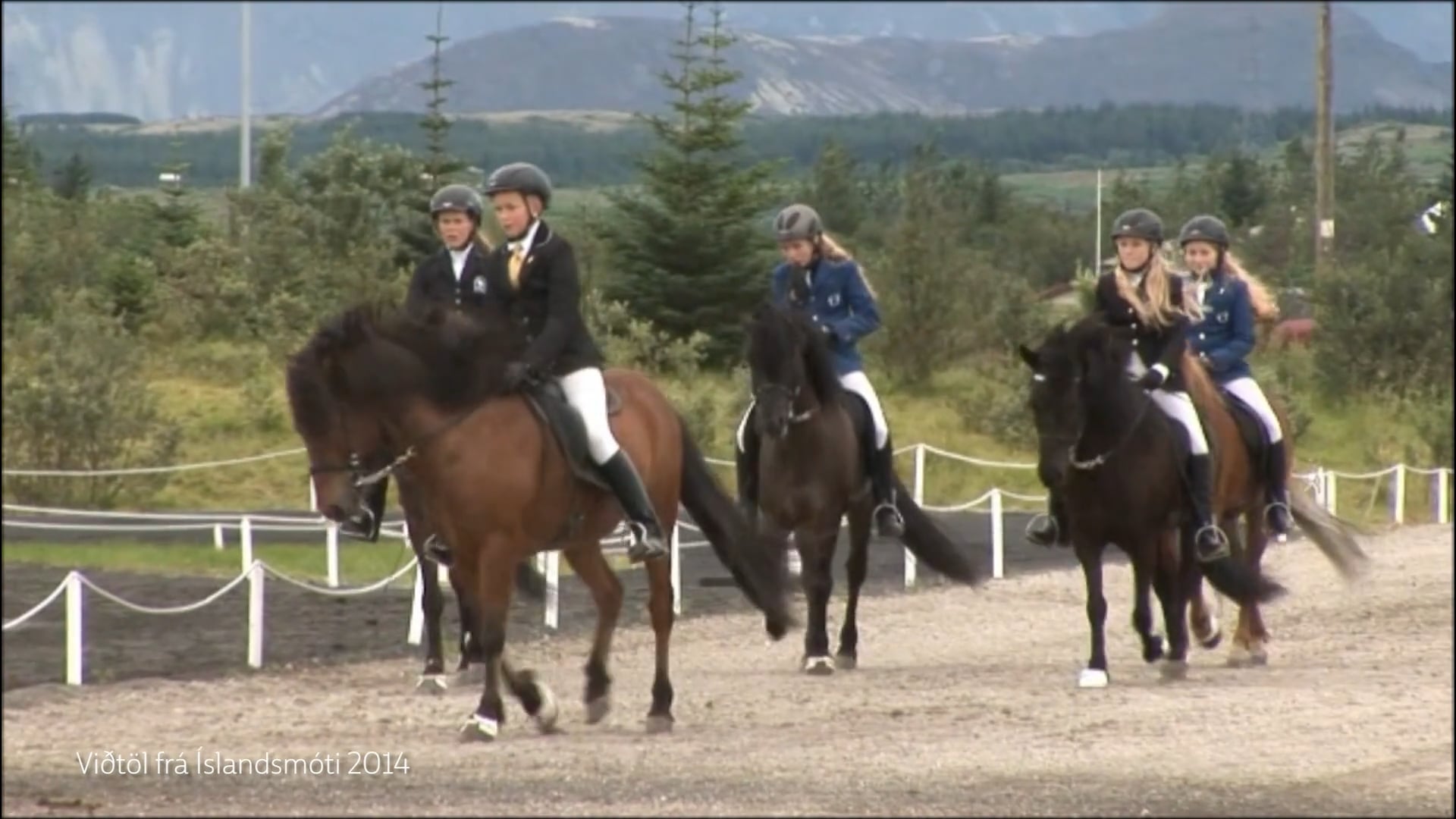 Viðtöl við Íslandsmeistara í Tölti 2014