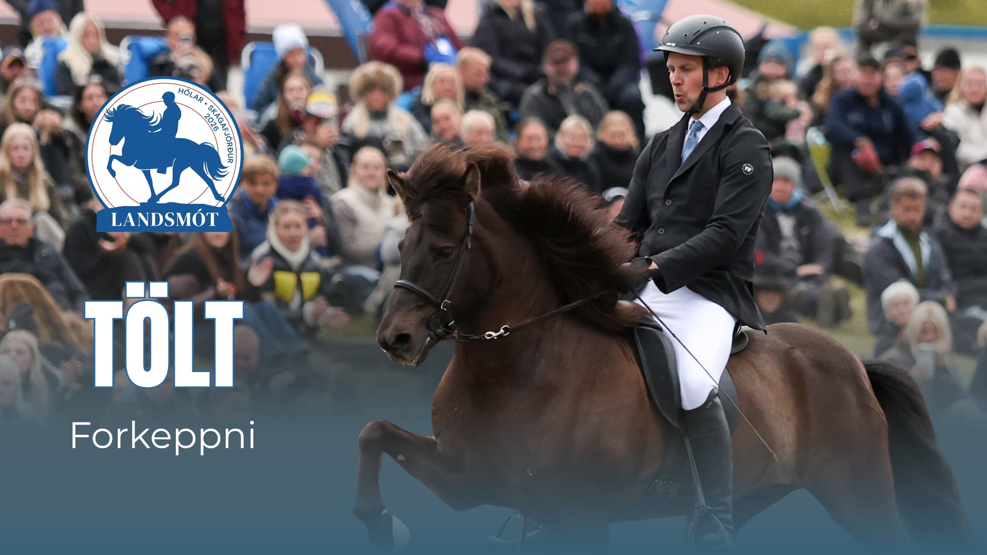 Tölt T1 preliminary round - Landsmót hestamanna