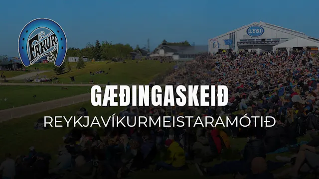 Gæðingaskeið - Reykjavíkurmeistaramótið
