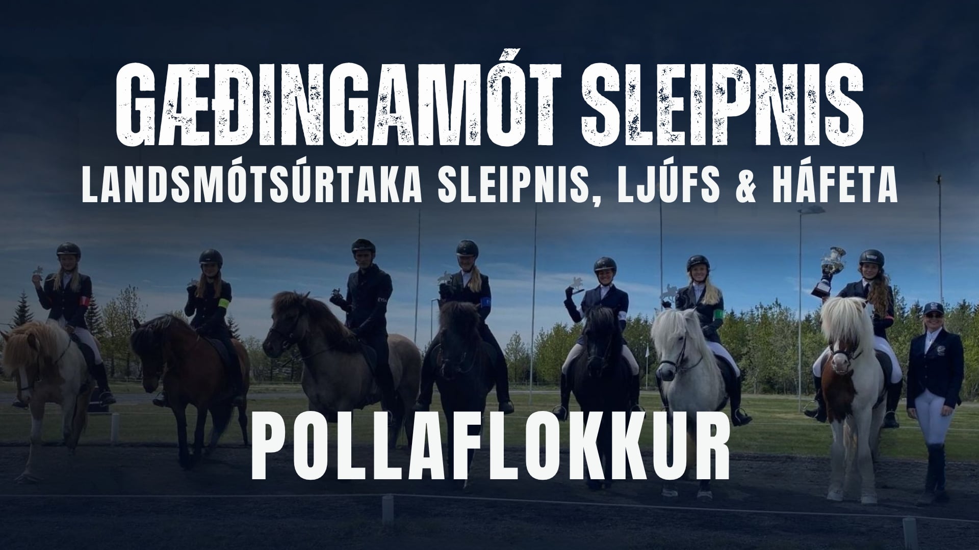 Pollaflokkur