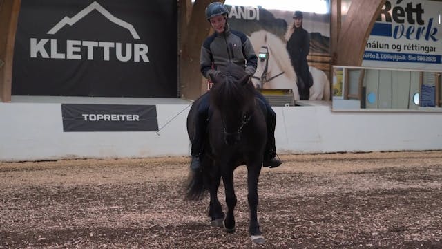 Hestadagar 2025 - Jón Ársæll Bergmann