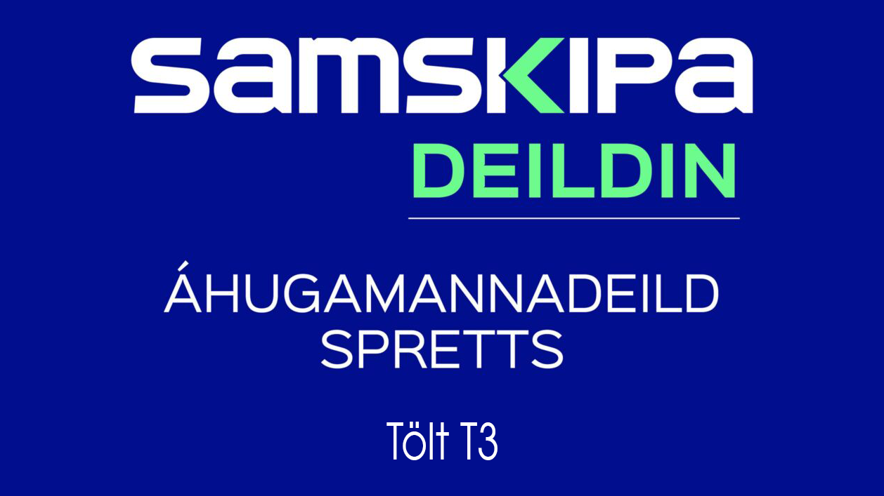 Áhugamannadeild 2025 - T3