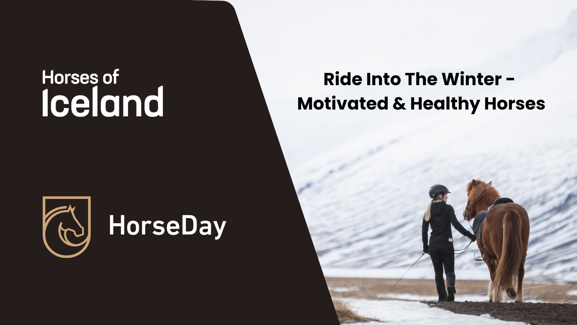 Free Webinar: Ride into the winter - motivated and healthy horses