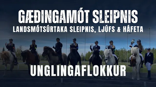 Unglingaflokkur - Gæðingamót Sleipnis...