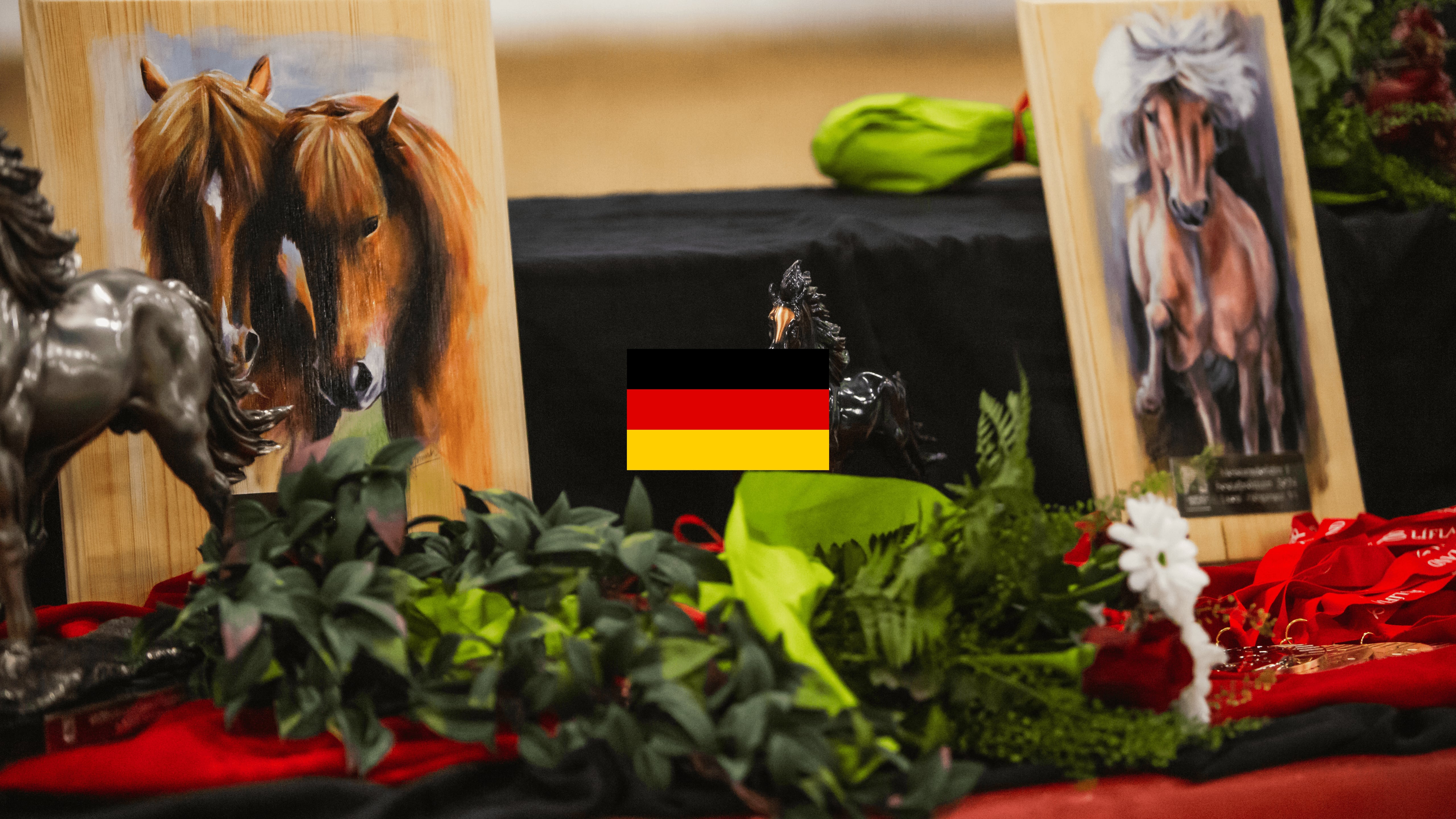 Meistaradeild 2025 - V1 Viergang - Deutscher Kommentar