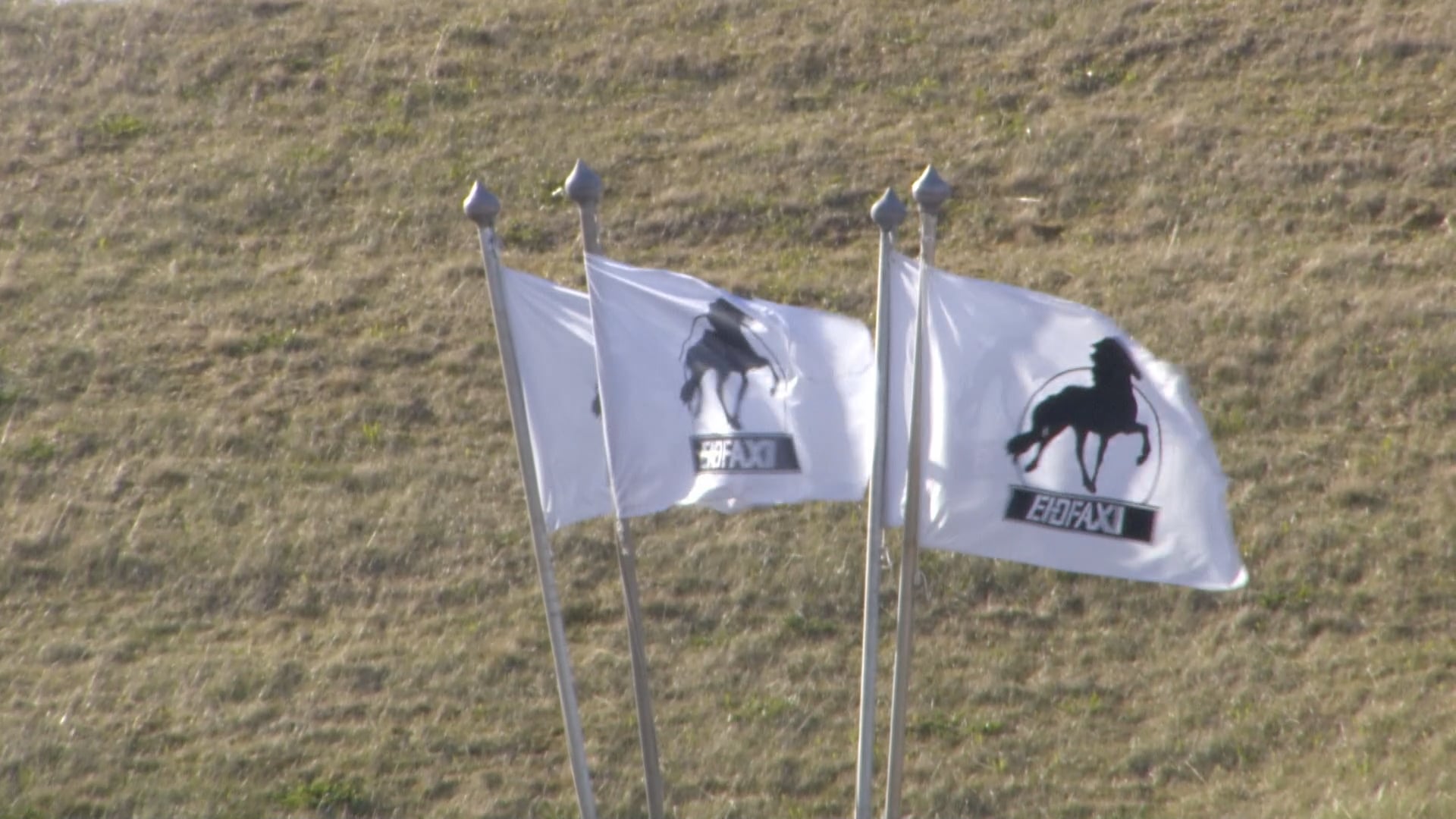 Fjórgangur V1 - Ungmennaflokkur - A úrslit - Íþróttamót Spretts 2025