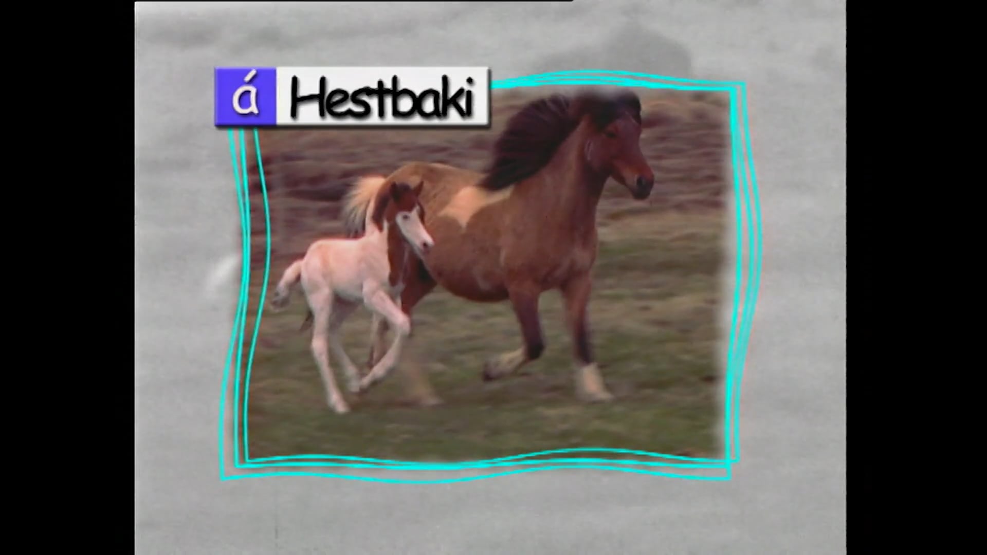 Á hestbaki 4.þáttur