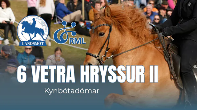 FIZO 6 year old mares II - Landsmót h...