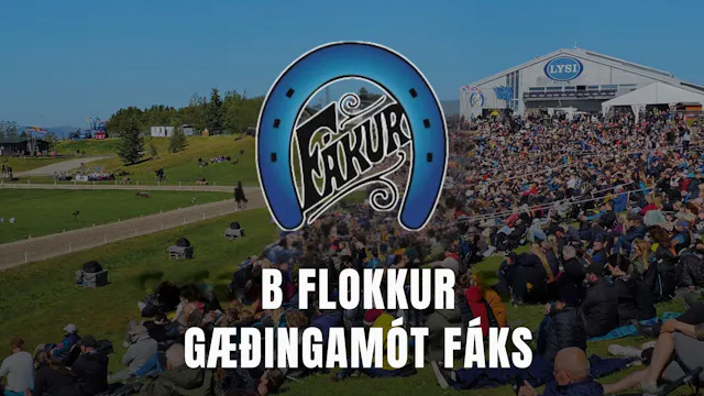 B flokkur - Gæðingamót Fáks og Landsm...