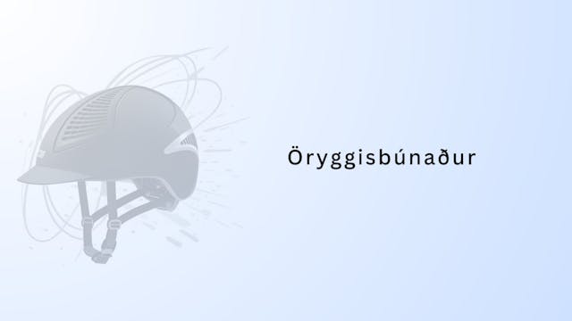 Öryggismyndband LH - Öryggisbúnaður