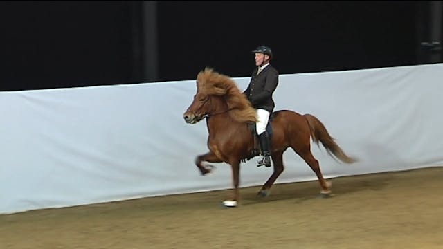 Lokaatriði á Ræktun 2014