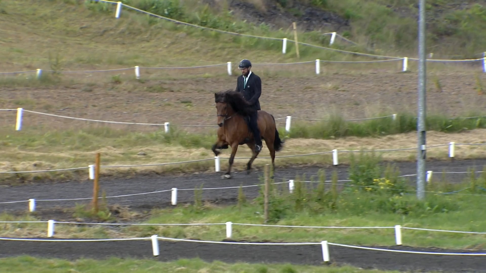 B flokkur - 12 til 20 - Fjórðungsmót
