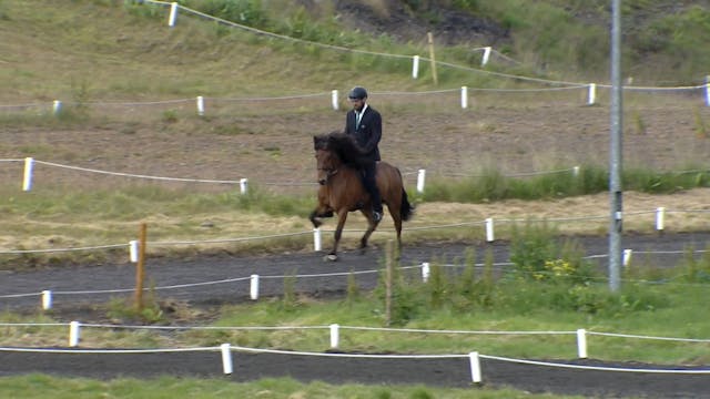 B flokkur - 12 til 20 - Fjórðungsmót