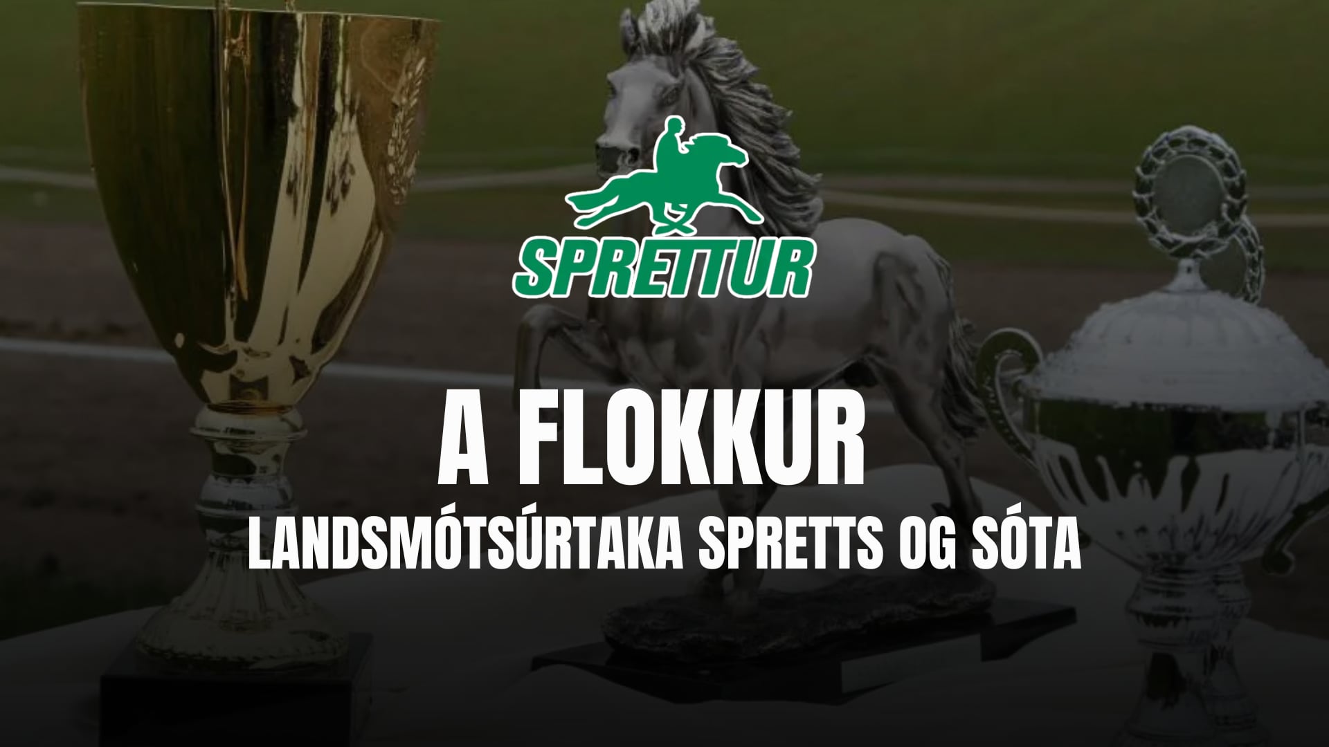 A flokkur - Landsmótsúrtaka Spretts og Sóta
