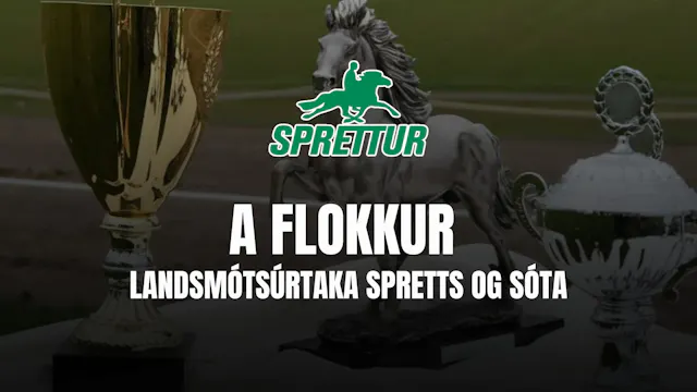 A flokkur - Landsmótsúrtaka Spretts o...