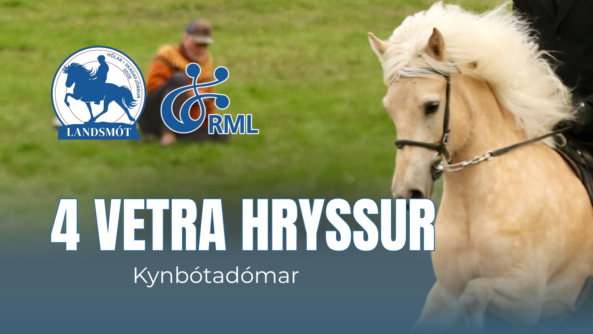 FIZO 4 year old mares - Landsmót hestamanna 2026