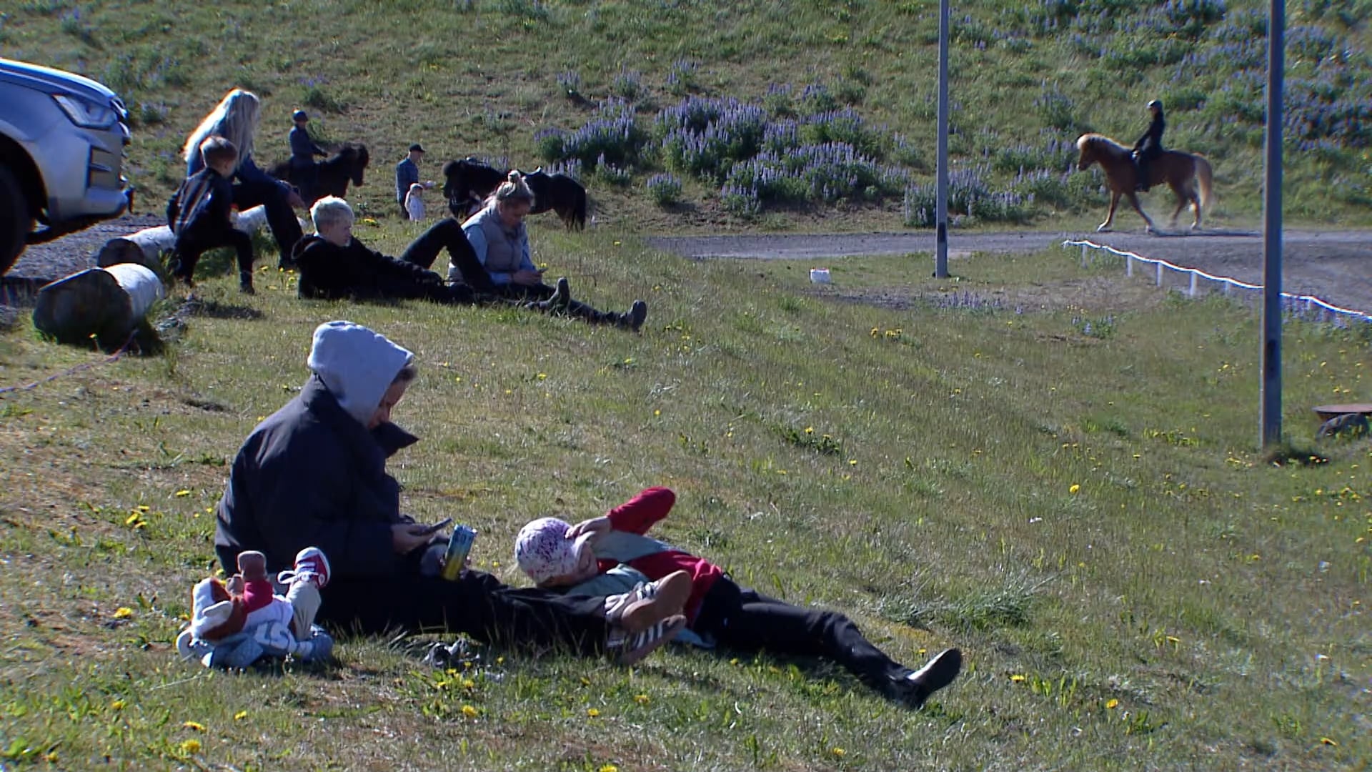 Gæðingatölt fullorðinsflokkur - Forkeppni - Gæðingamót Spretts og Fáks 2025