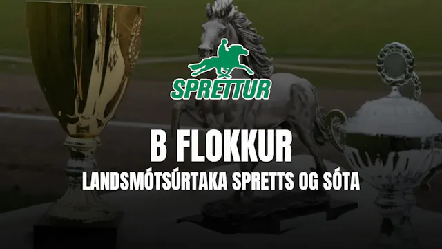 B flokkur - Gæðingamót Spretts og úrt...
